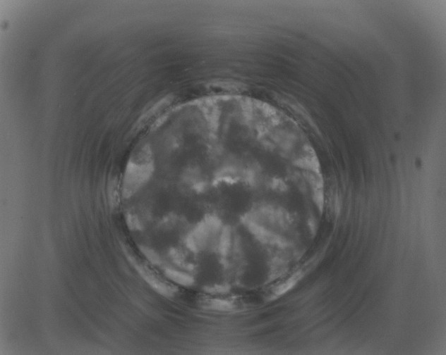 X0000081410285200702092116