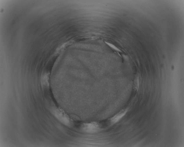 X0000081410286200702092116