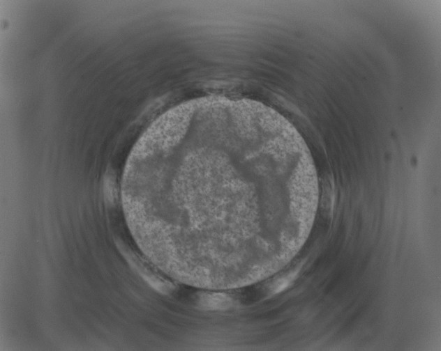 X0000081410287200702092116