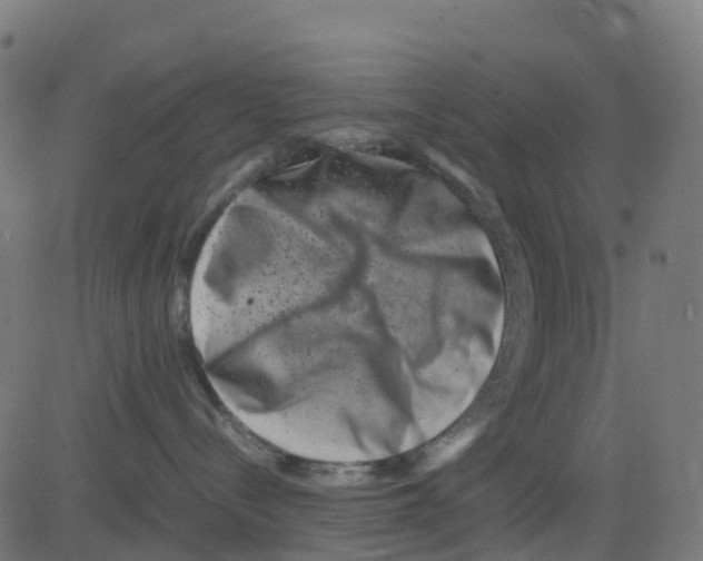 X0000081410288200702092116