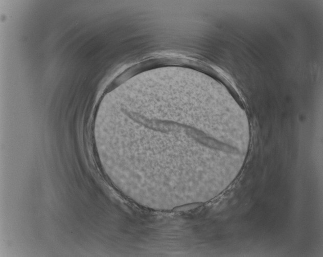 X0000081410289200702092116