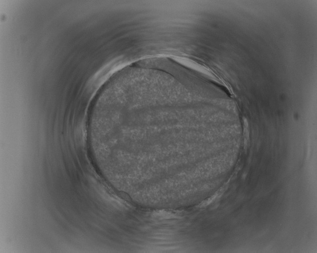 X0000081410290200702092116