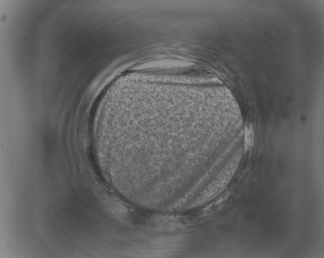 X0000081410291200702092116