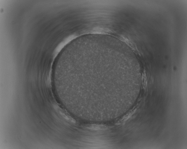 X0000081410292200702092116