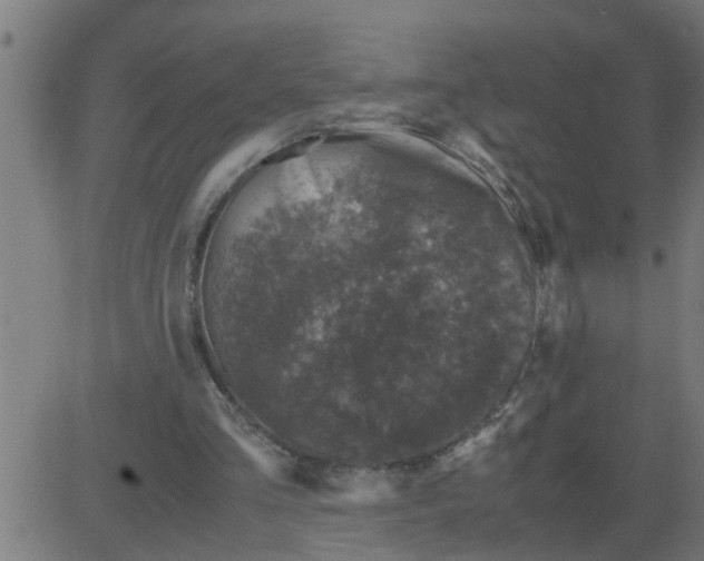 X0000081410293200702092115