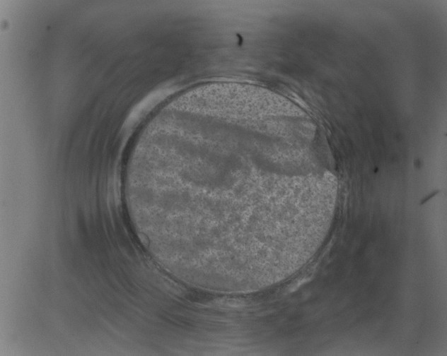 X0000081410294200702092115