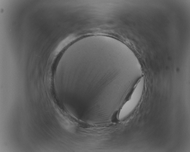 X0000081410295200702092115