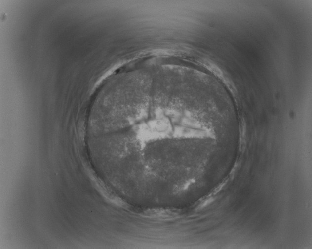 X0000081410297200702092115