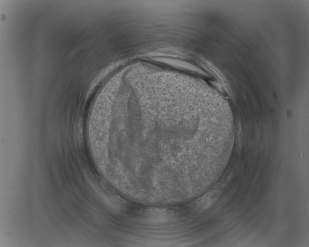 X0000081410298200702092115