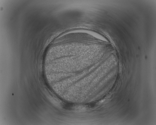 X0000081410299200702092115