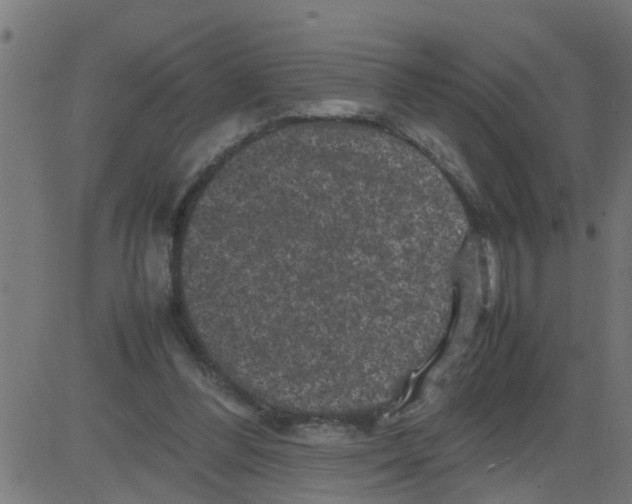 X0000081410300200702092115