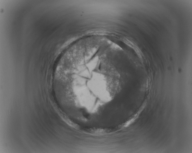 X0000081410301200702092115