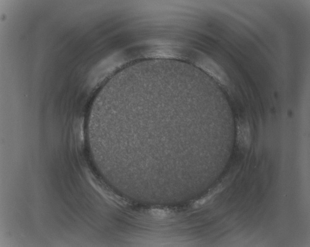 X0000081410302200702092115