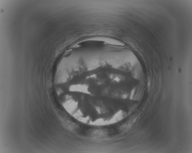 X0000081410303200702092115