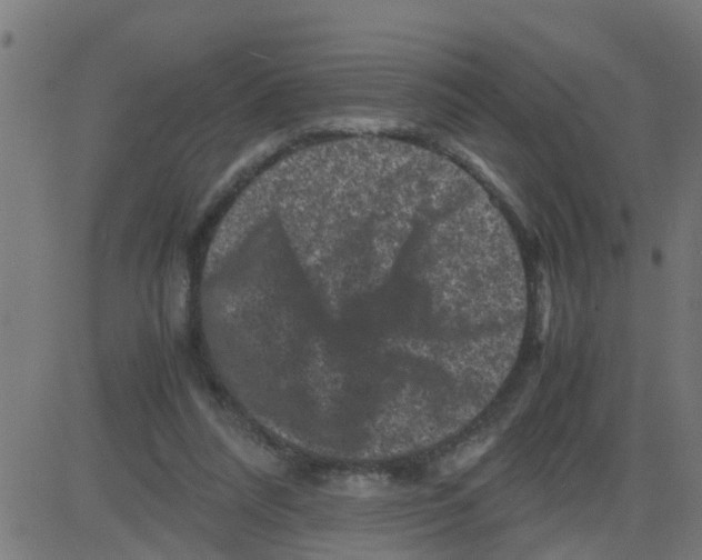 X0000081410304200702092115