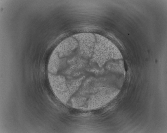 X0000081410306200702092115