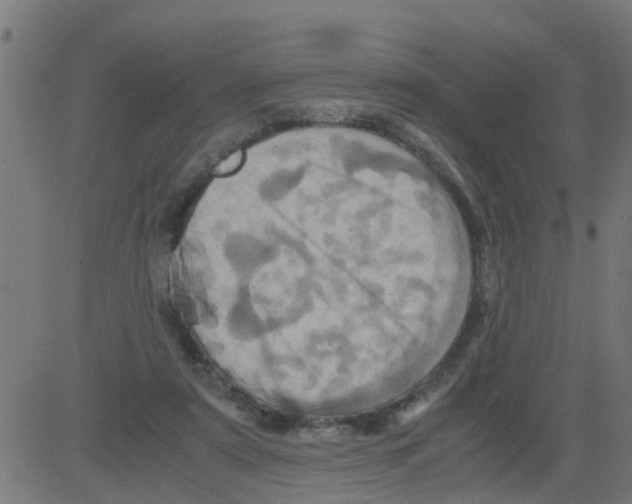 X0000081410307200702092115