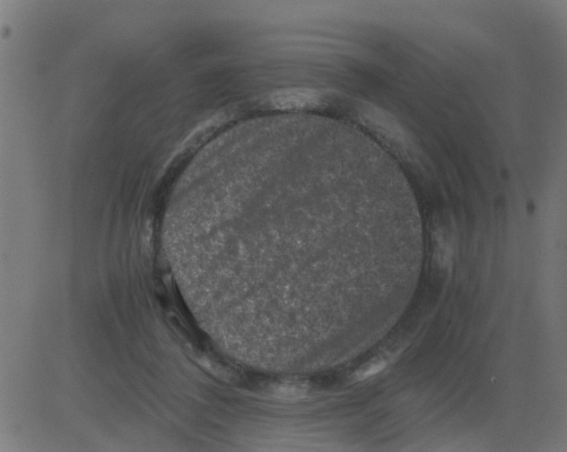 X0000081410308200702092115