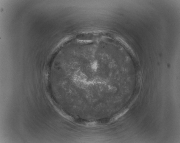 X0000081410309200702092115