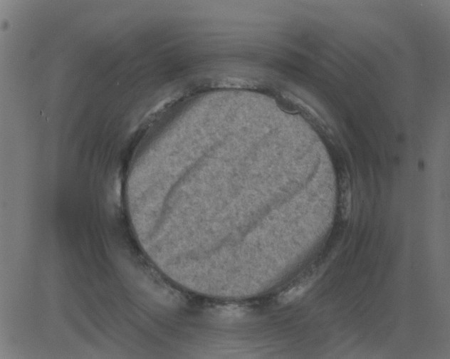 X0000081410310200702092115