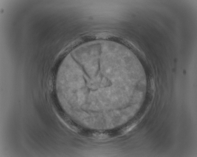 X0000081410311200702092115