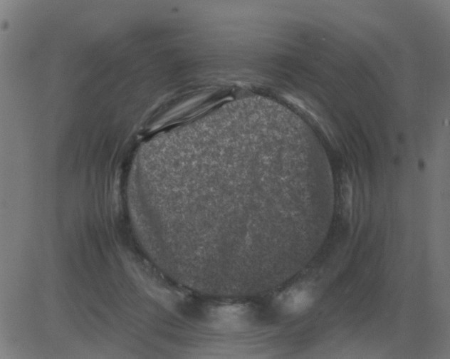 X0000081410312200702092115