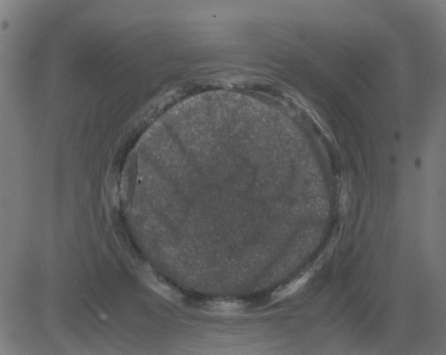 X0000081410313200702092115