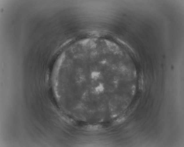 X0000081410314200702092115