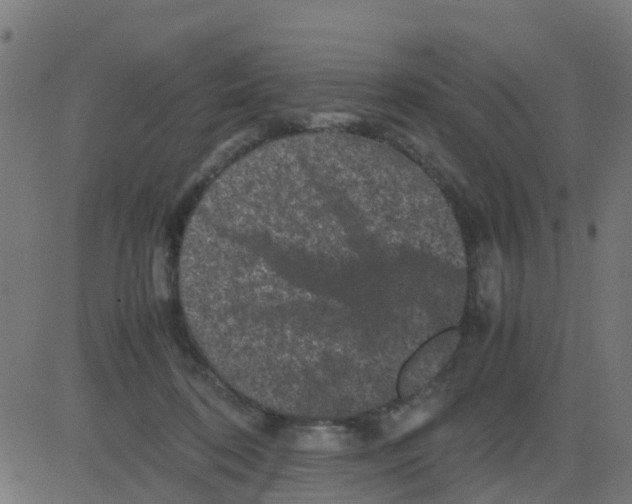 X0000081410316200702092115