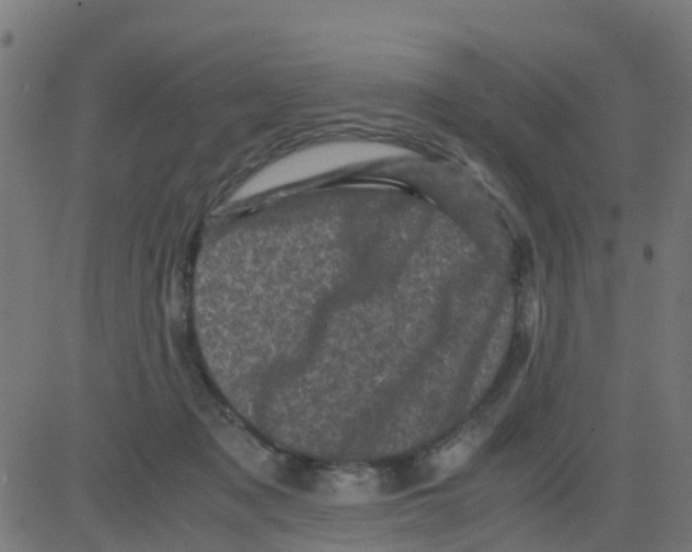 X0000081410317200702092115