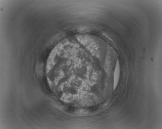 X0000081410319200702092115