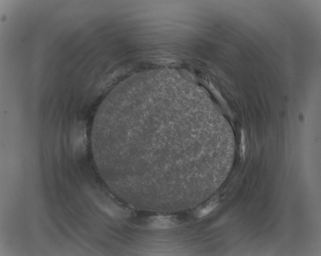 X0000081410320200702092115