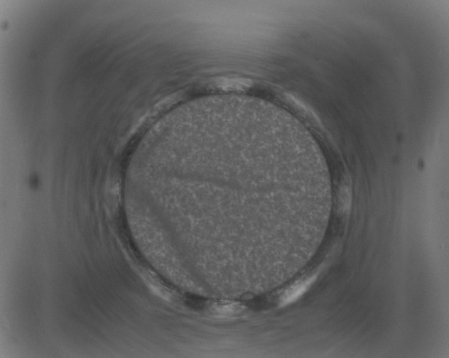 X0000081410321200702092115