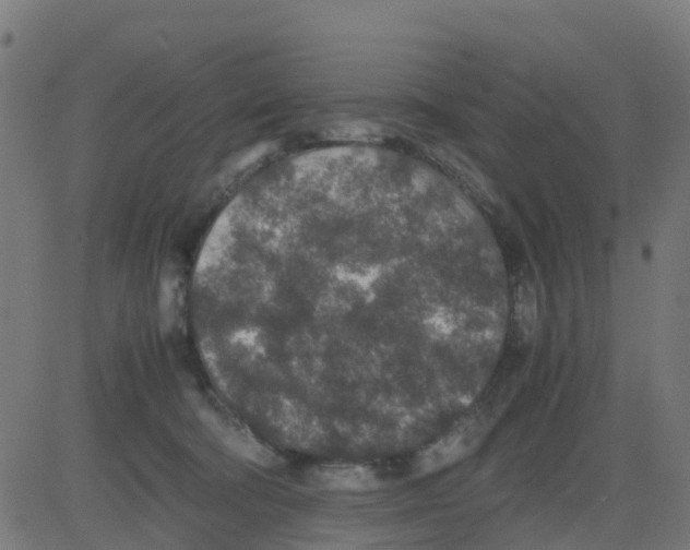 X0000081410322200702092115