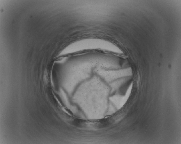 X0000081410323200702092115