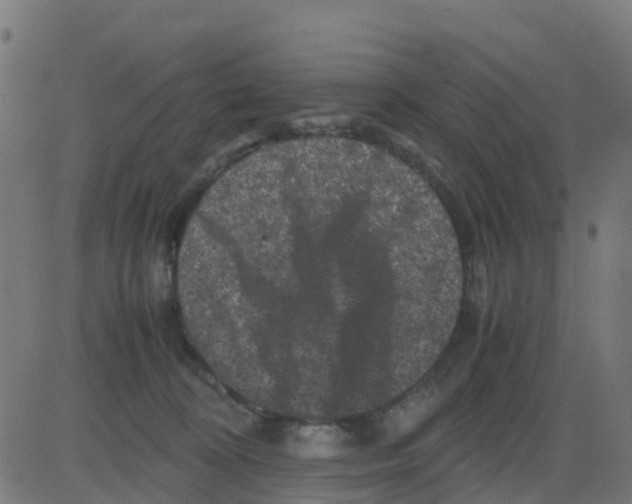 X0000081410324200702092115