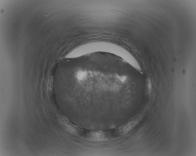 X0000081410325200702092115