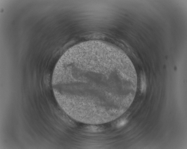 X0000081410326200702092115