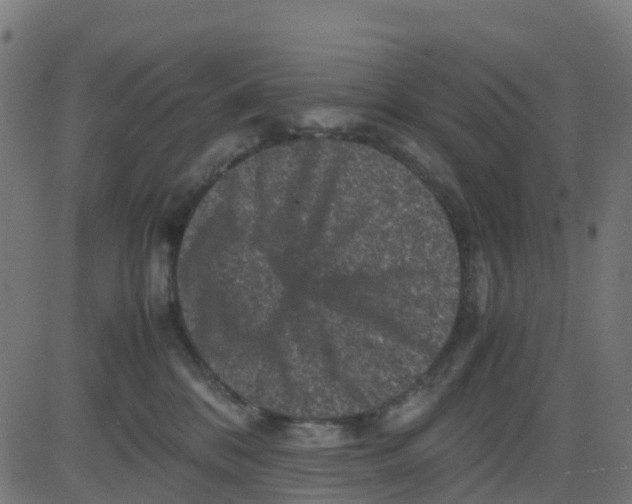 X0000081410328200702092115