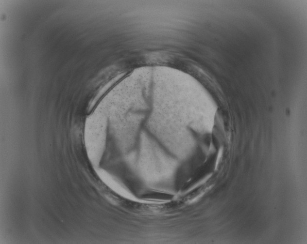 X0000081410329200702092115