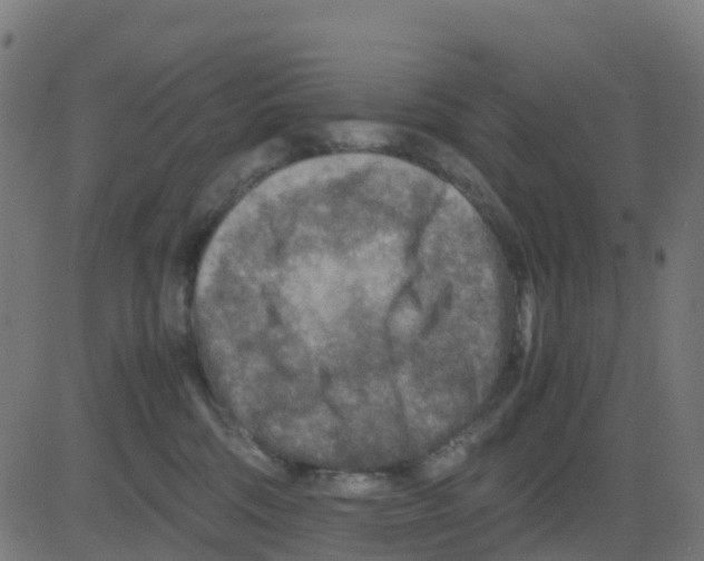 X0000081410330200702092115