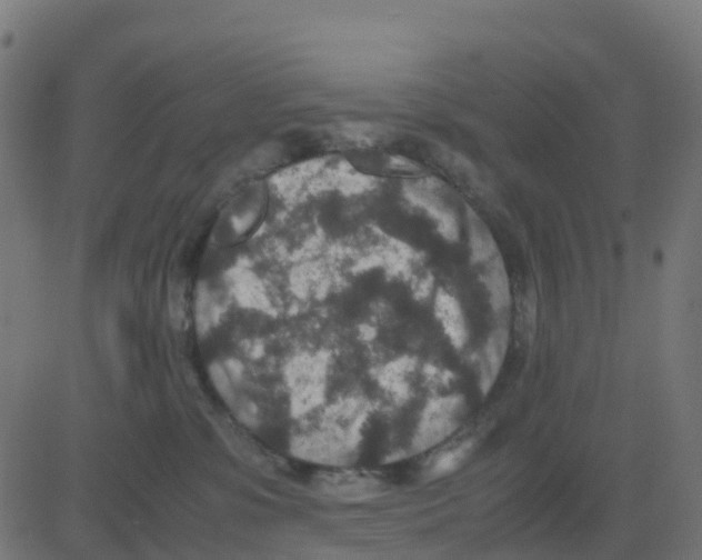 X0000081410331200702092115