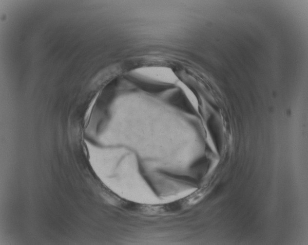 X0000081410333200702092115