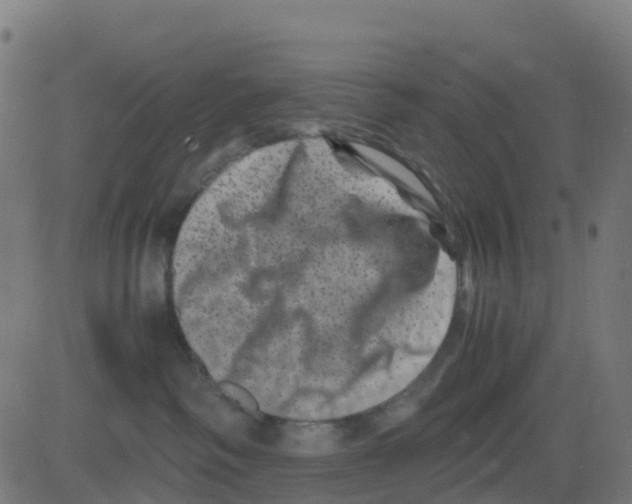 X0000081410334200702092115