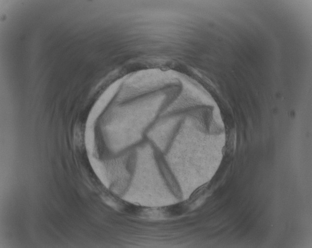 X0000081410335200702092115