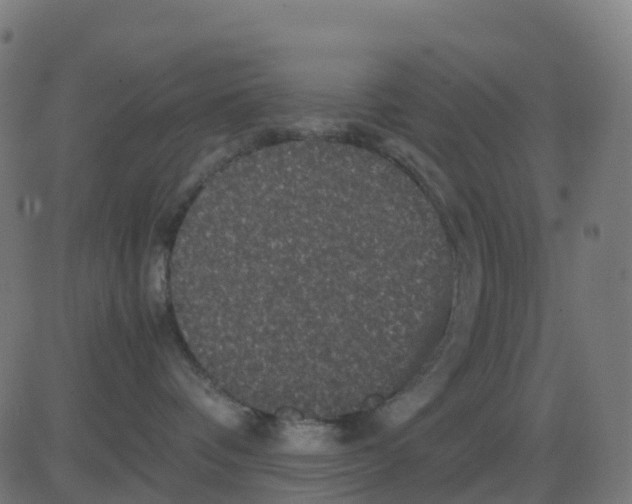 X0000081410336200702092115