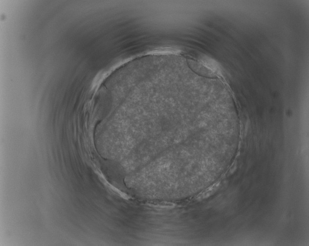 X0000081410337200702092114