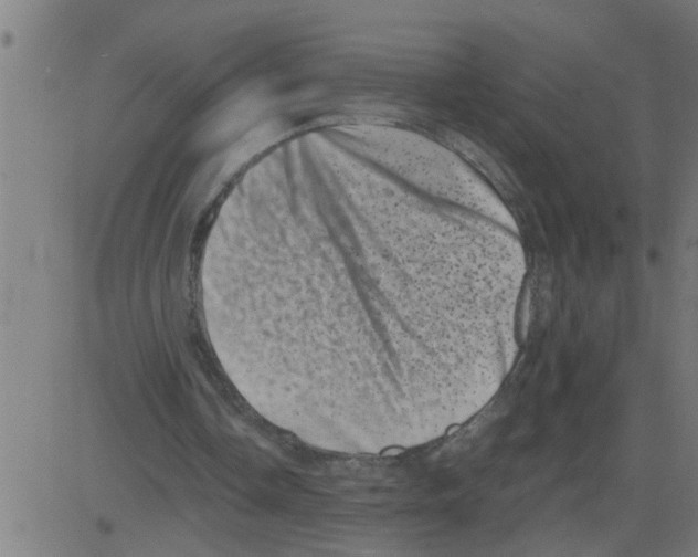 X0000081410338200702092114