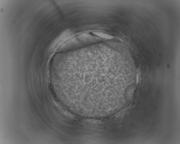 X0000081410339200702092114