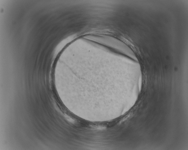 X0000081410340200702092114